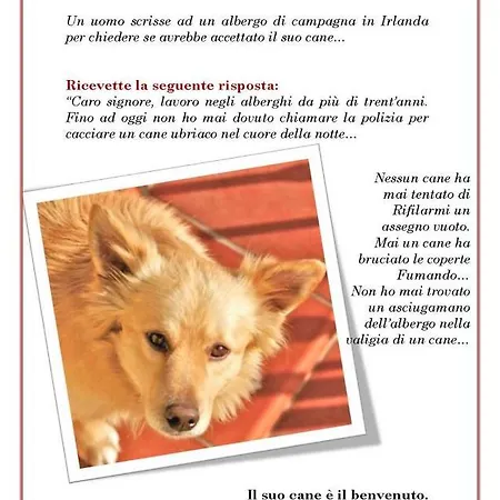 Podere Stollo * Sassetta