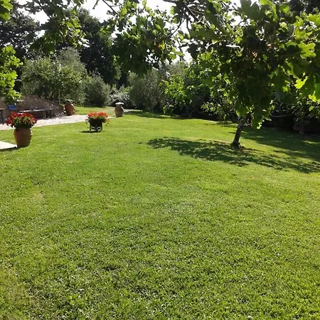 Podere Stollo * Sassetta