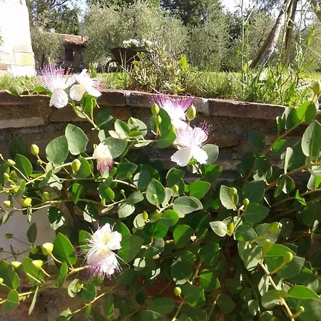 شقة Podere Stollo *