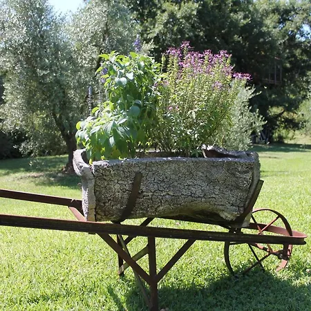 Daire Podere Stollo *