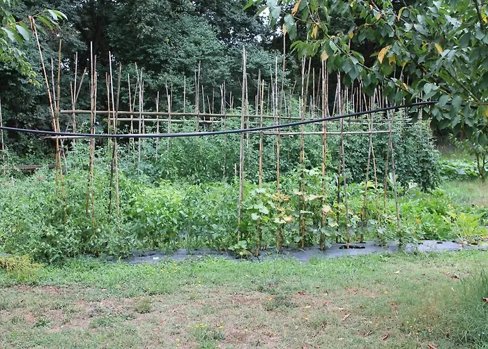 Podere Stollo 아파트 *