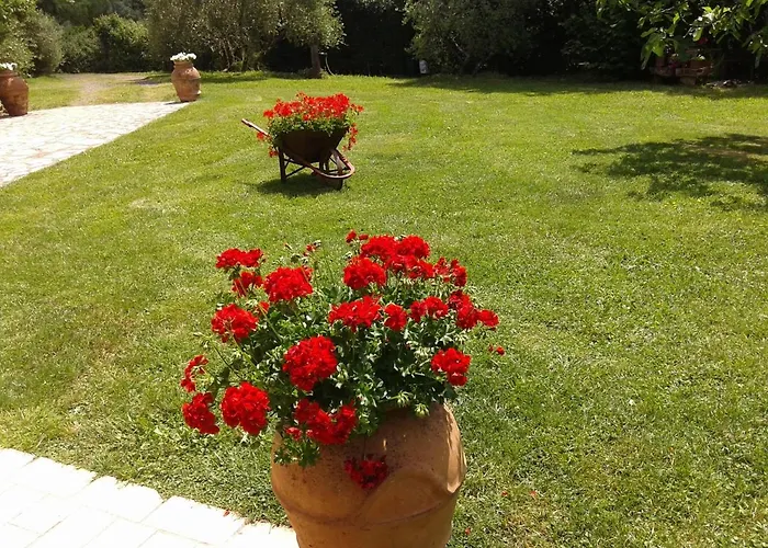 Podere Stollo