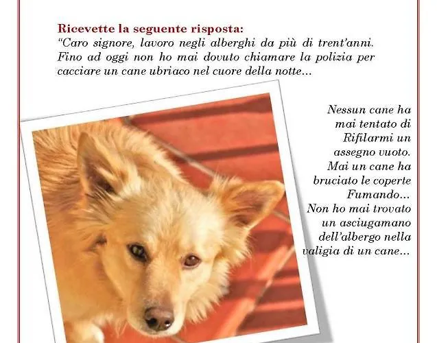 Podere Stollo * Sassetta