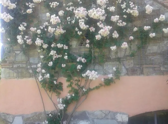 Podere Stollo *