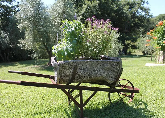 Apartamento Podere Stollo *